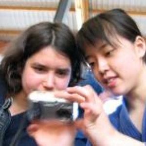 gallery__image