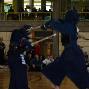 gallery__image
