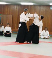 gallery__image